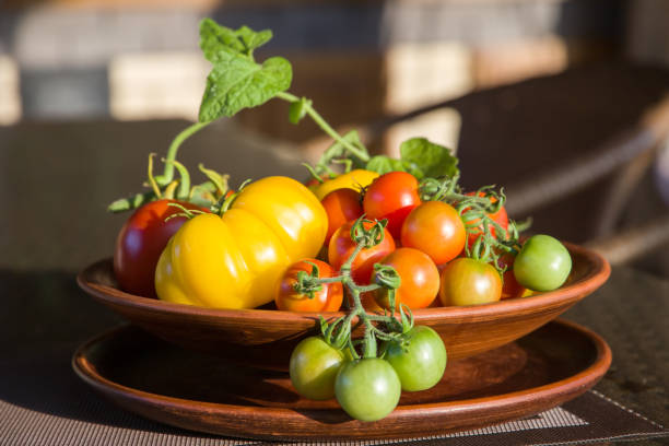 Red and yellow tomatoes in a clay bowl close up. Selective focus.