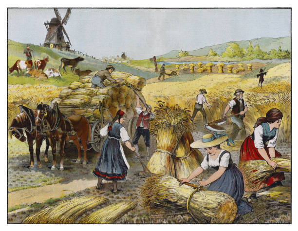 Farmer and women harvesting wheat with scythe on field 1874 Farmer and women harvesting wheat with scythe on field preparing sheaf of wheat 1874
High quality scan of antique illustration
Original edition from my own archives
Source : Bilder zum Anschauungs-Unterricht fur die Jugend
Editorial : Verlag von J. F. Schreiber, Esslingen and München
1874 antique pitchfork stock illustrations