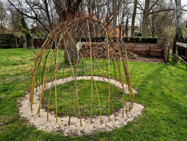 istock build on playgrounds and in private gardens or parks. stuck branches form a circle, the above-ground part is woven into the shape of a dome with willow rods planted in the ground. circle, dome, tent 2192298762
