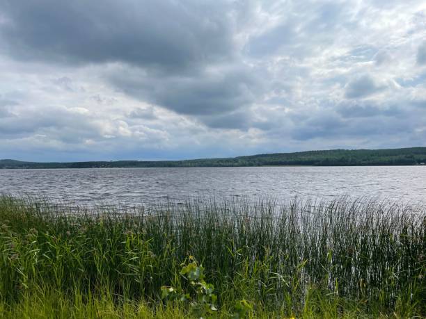 Tranquil lake with lush greenery and cloudy sky.