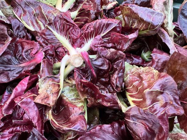 Fresh organic radicchio display at local farmers market