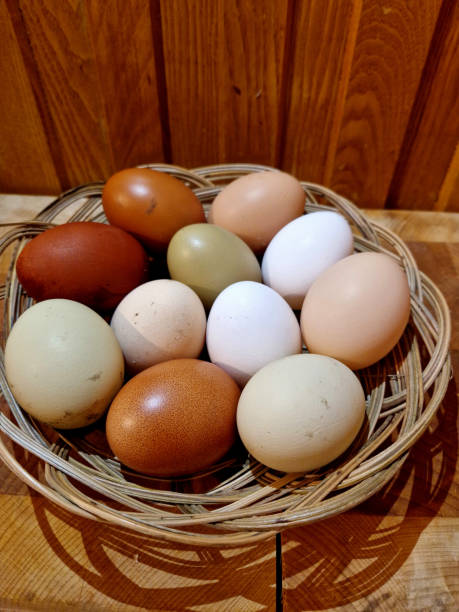 istock eggs from several types of hens. various shades from brown to white. even greenish eggs in a paper bag from the farm 2192301216
