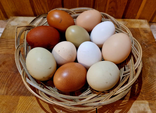 eggs from several types of hens. various shades from brown to white. even greenish eggs in a paper bag from the farm