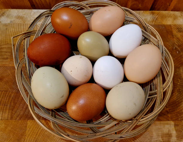 istock eggs from several types of hens. various shades from brown to white. even greenish eggs in a paper bag from the farm 2192301250