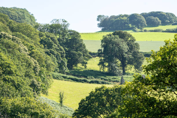 istock Welsh rural landscape of rolling green fields with scattered trees 2192301671