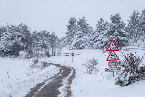 istock Snowy pine trees and road, road signs 2192303571