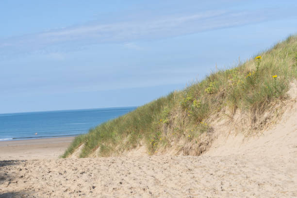 istock Dune on right with beach vegetation of marram grass and ragwort 2192303680