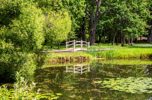 Small wooden bridge with railings at the park in summer sunny day