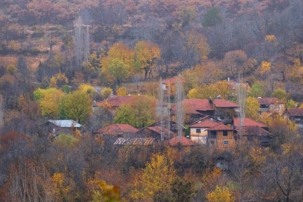 Anatolian Villages in Autumn Colors 11/22/2024 Mihaliççık, Eskişehir, Turkey