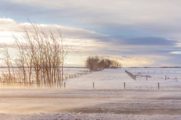 istock Alberta Prairies Winter Snow, Ice and Wind 2192309427