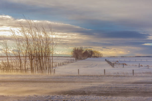 istock Alberta Prairies Winter Snow, Ice and Wind 2192309433