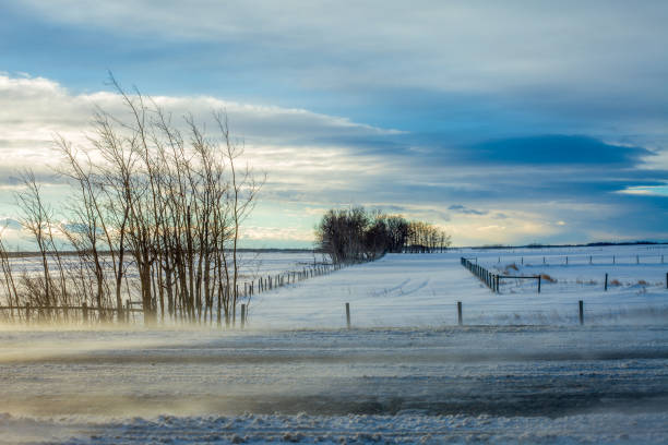 istock Alberta Prairies Winter Snow, Ice and Wind 2192309437