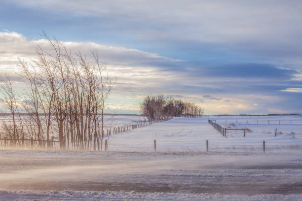 istock Alberta Prairies Winter Snow, Ice and Wind 2192309440