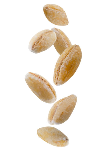 istock Peeled barley grains falling in space. Isolated on white 2192310401