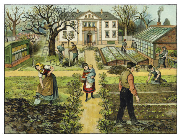 People working in vegetable garden planting  in spring 1874 illustration
High quality scan of antique illustration
Original edition from my own archives
Source : Bilder zum Anschauungs-Unterricht fur die Jugend
Editorial : Verlag von J. F. Schreiber, Esslingen and München
1874