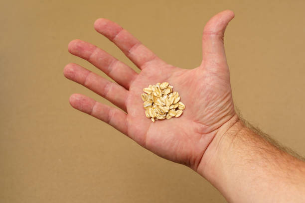 Close-up of caucasian male hand holding rolled oats in palm of hand with copy space