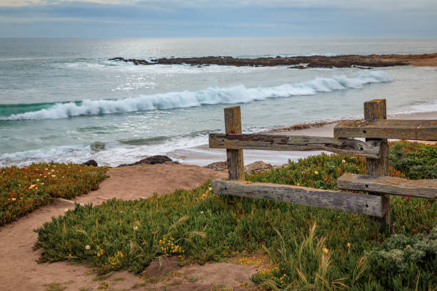 istock Rugged beach in Pescadero California on a cloudy day 2192313171