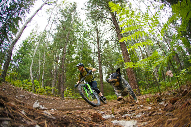 istock Mountain Bike Dog Ride 2192314203