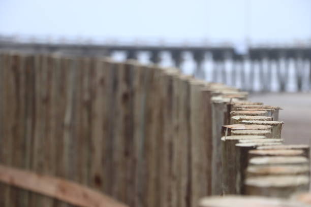 BARRICADE OF LOGS ON THE COASTLINE