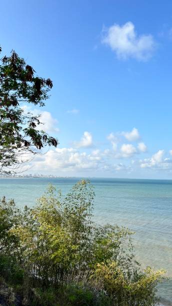 istock Beach sunny Day bluesky landscape 2192314627