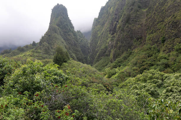 istock Iao Needle State Monument - Maui, Hawaii 2192316211