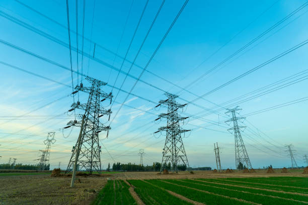 istock Pylons, high voltage pylons in the evening 2192319194
