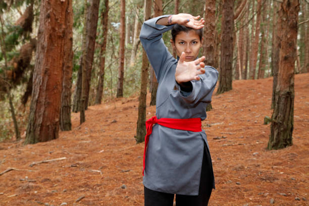 istock Wushu Kung fu red belt 2192320892
