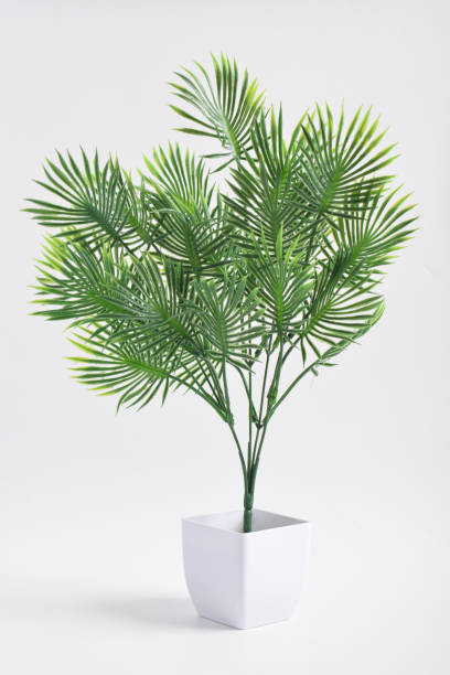 istock A small artificial plant with vibrant green leaves 2192321892