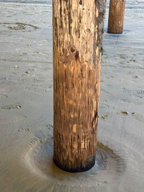 Pismo Beach. Is a city on the Central Coast area of California