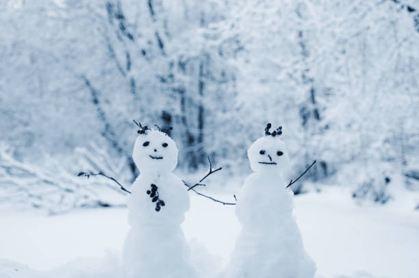 Charming handmade snowmen in winter forest