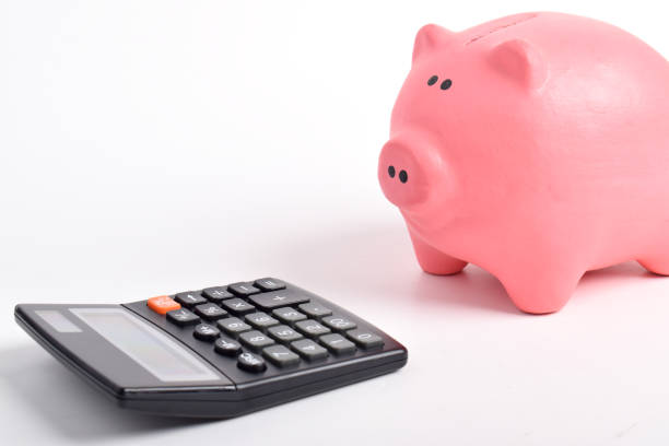 istock Piggybank and calculator 2192324624