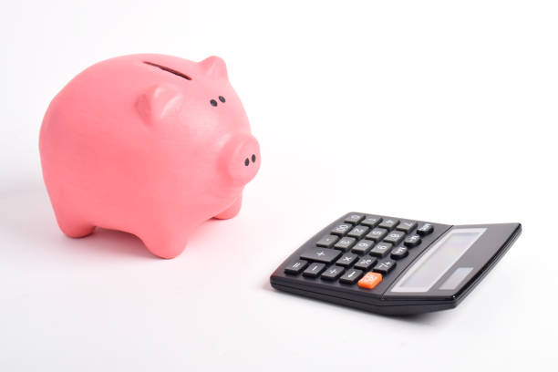 istock Piggybank and calculator 2192324644