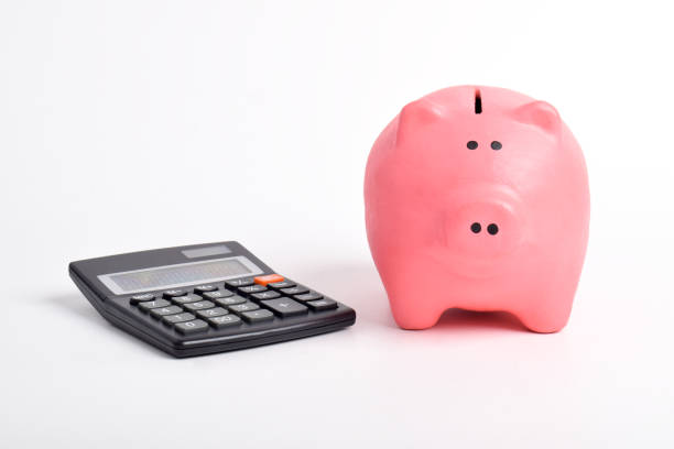 istock Piggybank and calculator 2192324673