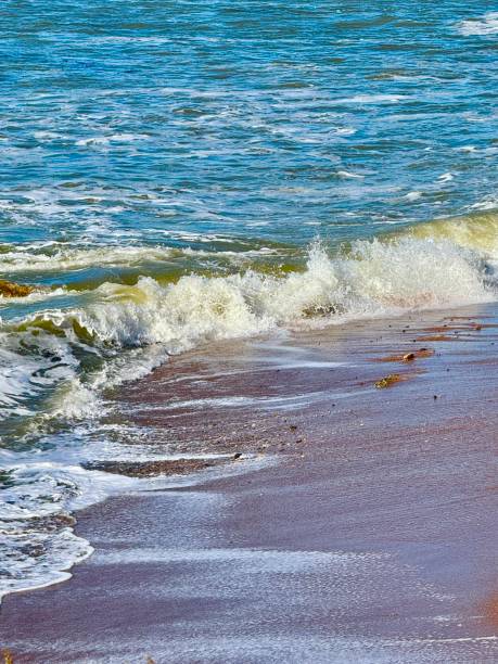 istock Pismo Beach, California 2192324752