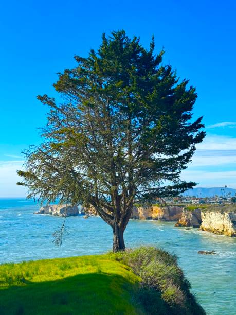 Pismo Beach. Is a city on the Central Coast area of California