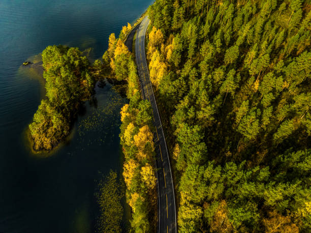 Aerial view of road in nature next to lake in Norway on autumn day.