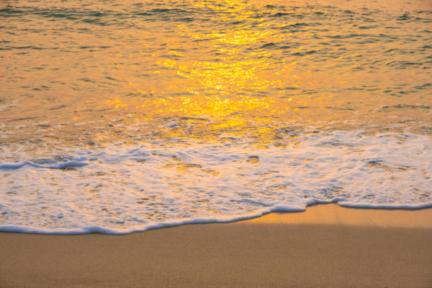 Ocean foam on a beach during sunset.
