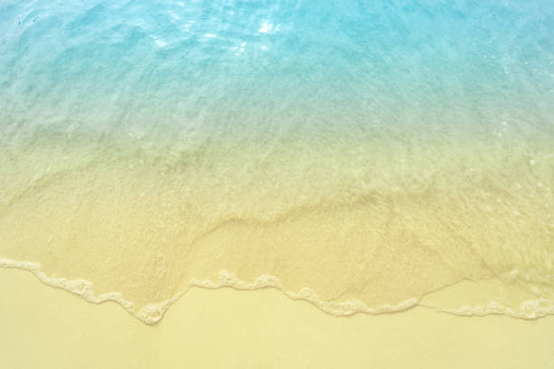 istock beautifully sand beach, closeup, top view 2192331591