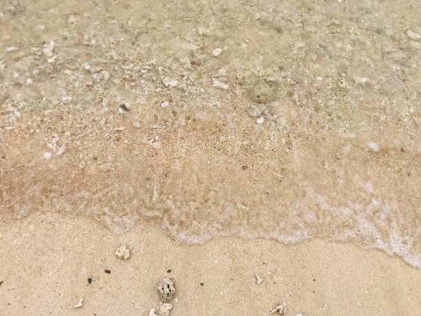 istock The rustle of the waves on the calm beach sand 2192343192