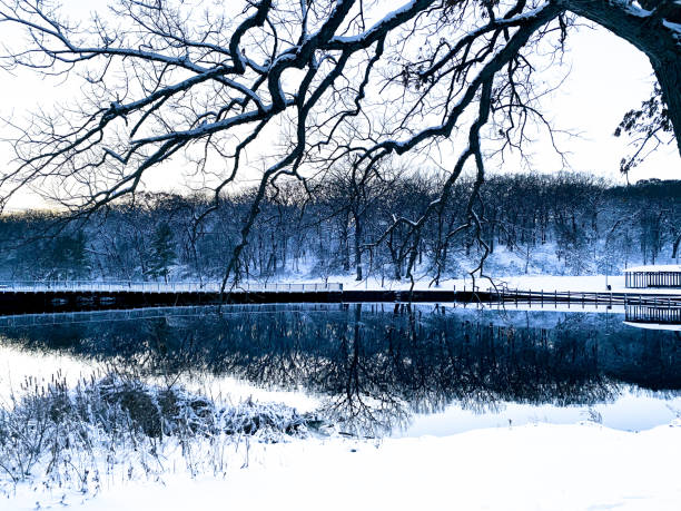 frozen mountain lake in winter with trees in the background of the winter landscape and gelid. copy space in the sky