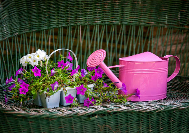 Tools on wicker bench for Gardening yard