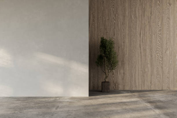 istock Modern contemporary loft empty room with nature view. There are wooden ceiling and blank concrete wall for copy space 2192348691