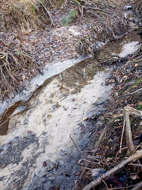 istock A muddy stream with a lot of debris and branches. 2192349582