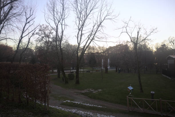 city park