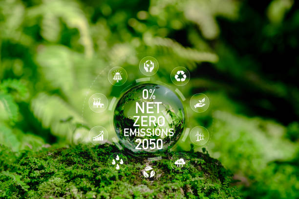 istock The word NetZero on a crystal globe placed on moss. Concept: Zero emissions by 2050, climate neutrality, love the planet, green business. 2192354508