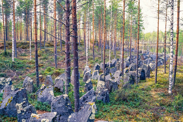 Tank barrier with rocks from world war two in Finland