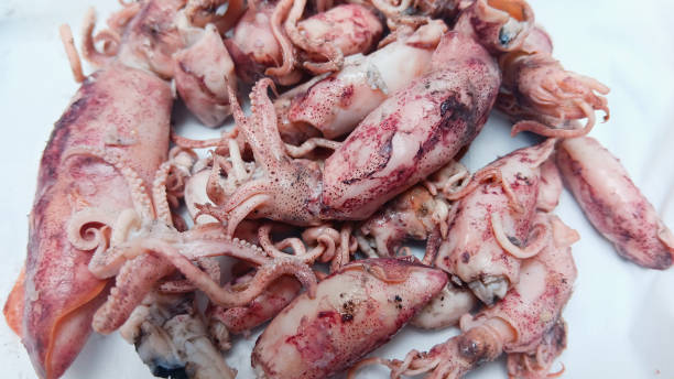 istock Food made from salted dried squid 2192359873