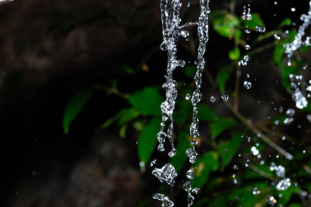 A landscape of dripping spring water