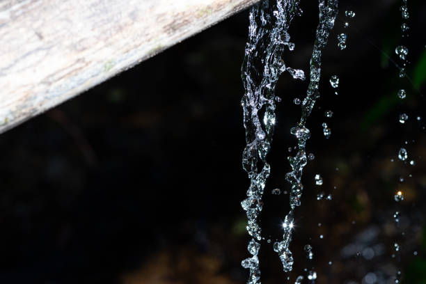 A landscape of dripping spring water