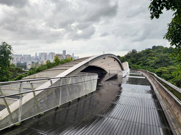 Overhead Bridge